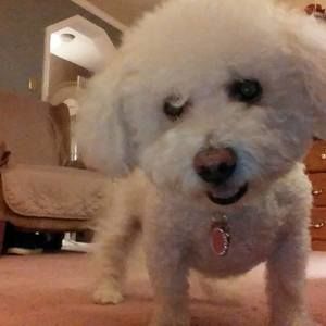 Meet your Posher, Donna